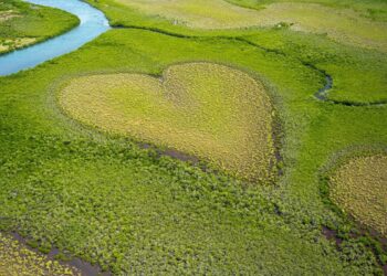 Il mondo celebra la Giornata Mondiale della Terra: Un appello globale per la salvaguardia ambientale