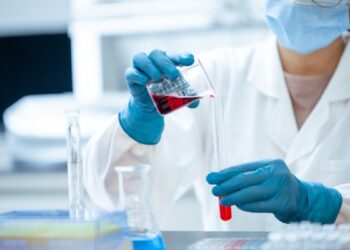 Allarme Virus Marburg: cos’è la malattia simile all’Ebola, sintomi e rischi