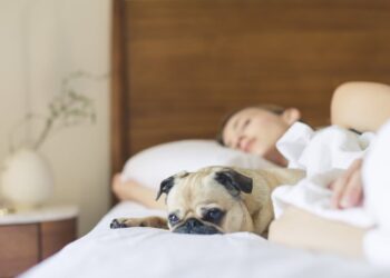 Dormire con il cane è sicuro? Il dettaglio che nessuno considera