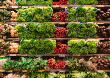Le verdure più nutrienti da inserire nella dieta quotidiana. Ecco quali sono e perchè vanno mangiate