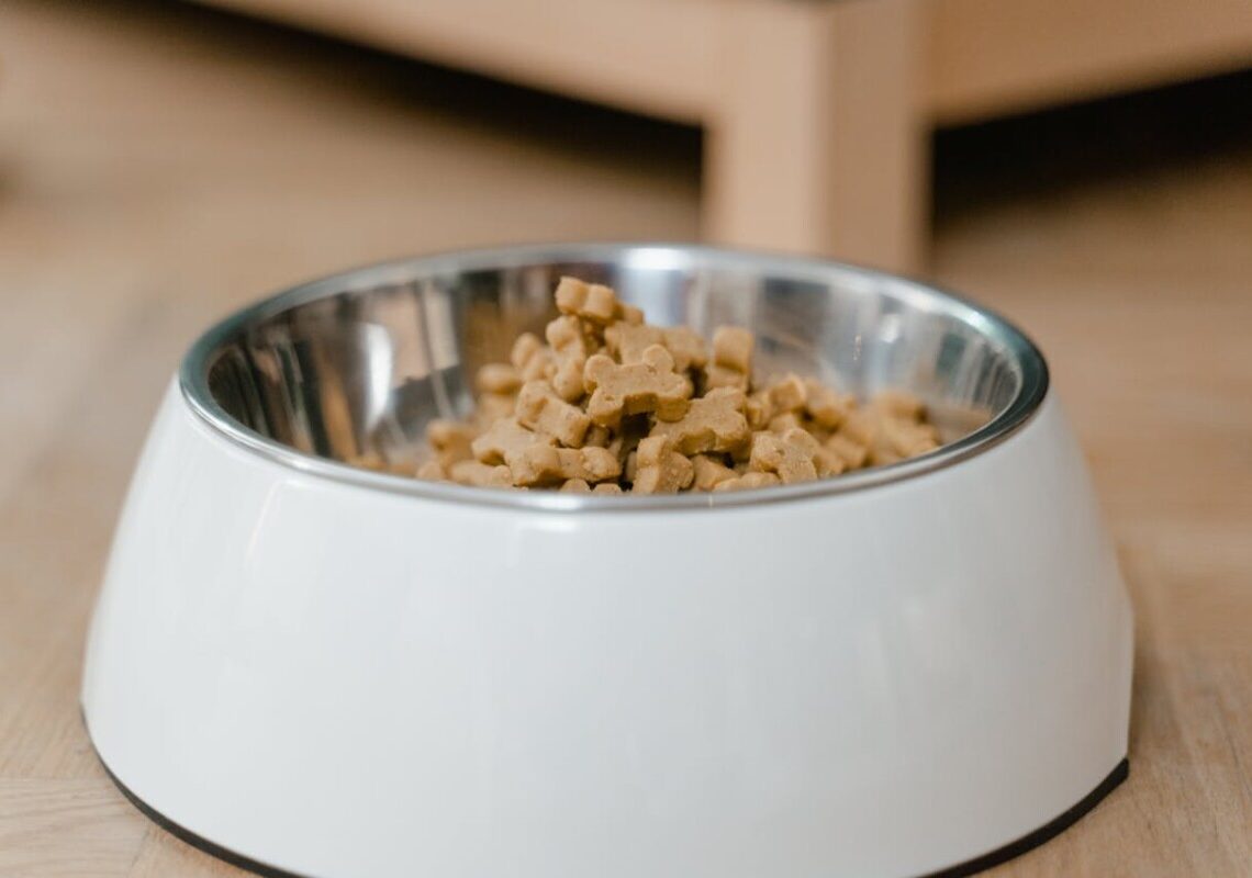 Ciotole per cani e gatti: ogni quanto lavarle e perché è fondamentale