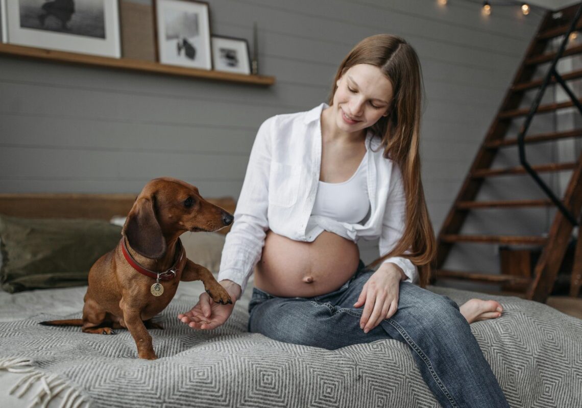I cani percepiscono la gravidanza? Il legame speciale con le future mamme