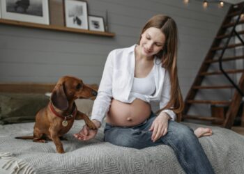 I cani percepiscono la gravidanza? Il legame speciale con le future mamme