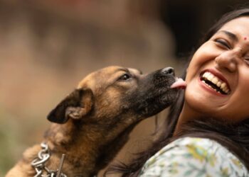 Le leccate dei cani: un gesto d’affetto o un segnale di stress? Scopriamolo insieme