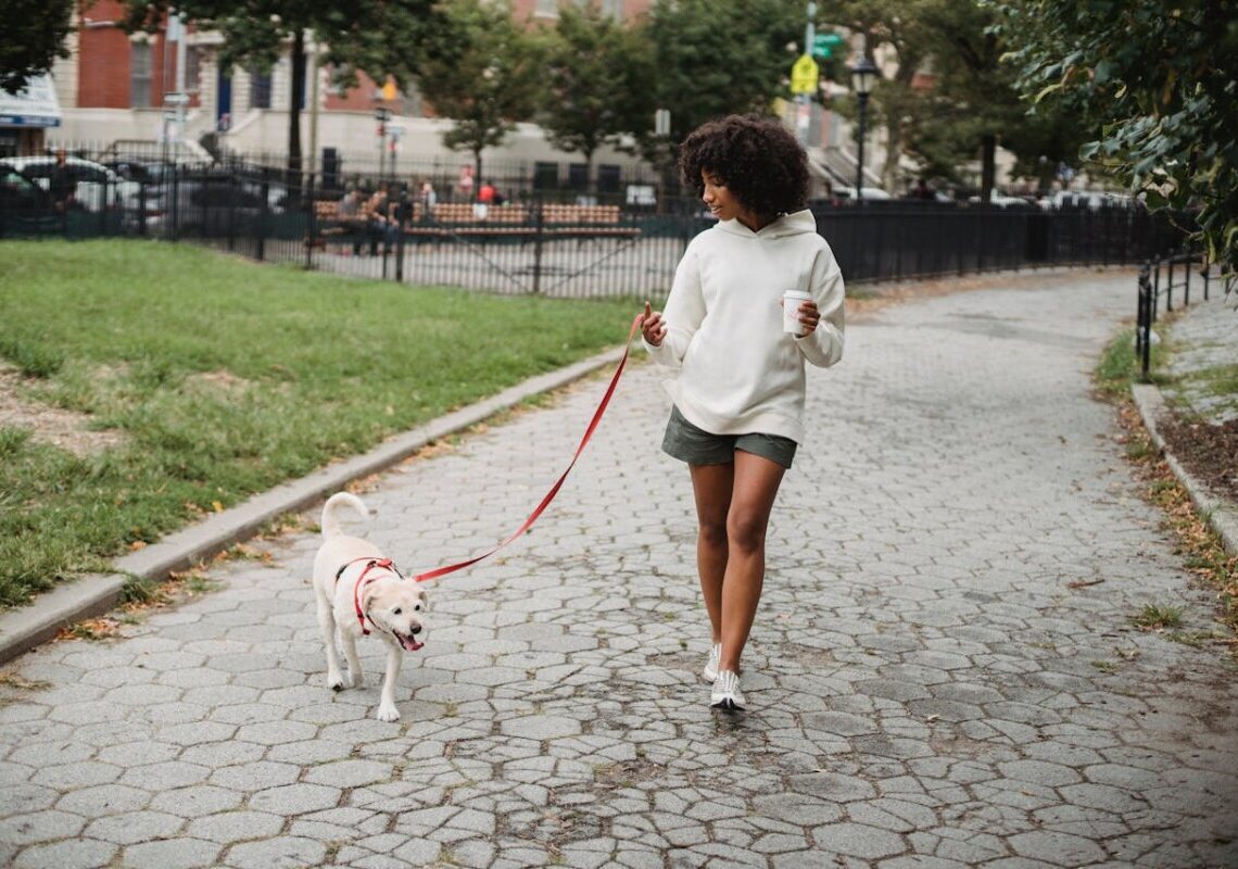 La ricerca conferma: camminare con il proprio cane migliora l’umore e favorisce il benessere psicofisico