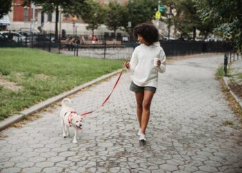 La ricerca conferma: camminare con il proprio cane migliora l’umore e favorisce il benessere psicofisico