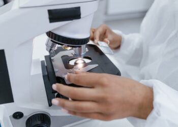 Segnali del tempo: come invecchiano davvero il corpo e la mente