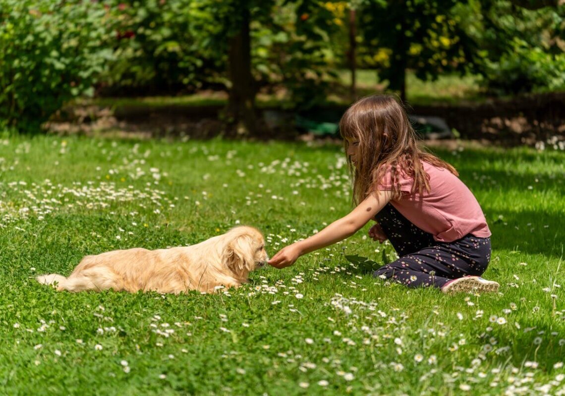 Non hai mai avuto un animale? Dopo aver letto questo lo vorrai subito