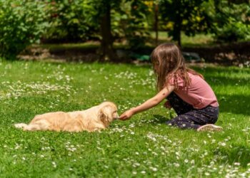 Non hai mai avuto un animale? Dopo aver letto questo lo vorrai subito