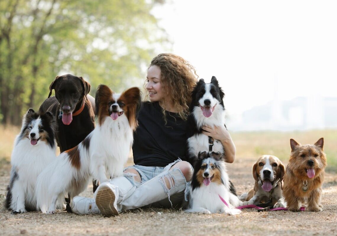 Stanno sparendo davanti ai nostri occhi: ecco le razze di cani in via di estinzione