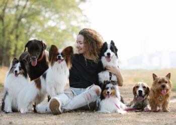 Stanno sparendo davanti ai nostri occhi: ecco le razze di cani in via di estinzione