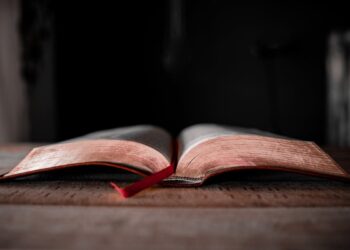 13 novembre 2026: la data in cui tutto potrebbe cambiare. Una profezia si avvicina