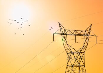 California, il mistero degli uccelli che esplodono in volo sconvolge gli esperti