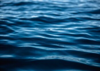 Allarme blu: un quinto degli oceani è diventato più scuro, ecco cosa sta succedendo