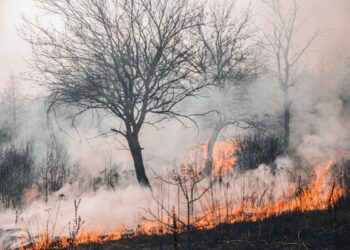 Gerusalemme in fiamme: “Bruciate tutto”, il messaggio choc di Hamas