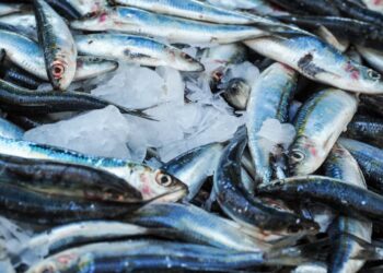 Allarme istamina, ritirato pesce dai supermercati: ecco tutti i dettagli