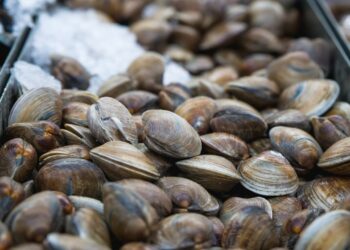Richiamo alimentare urgente: vongole contaminate da biotossine algali ritirate dai supermarcati