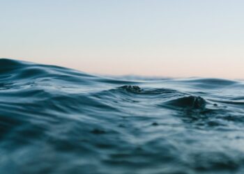 Sopravvive 20 ore in mare aperto: il racconto drammatico di Federico Ottaviano