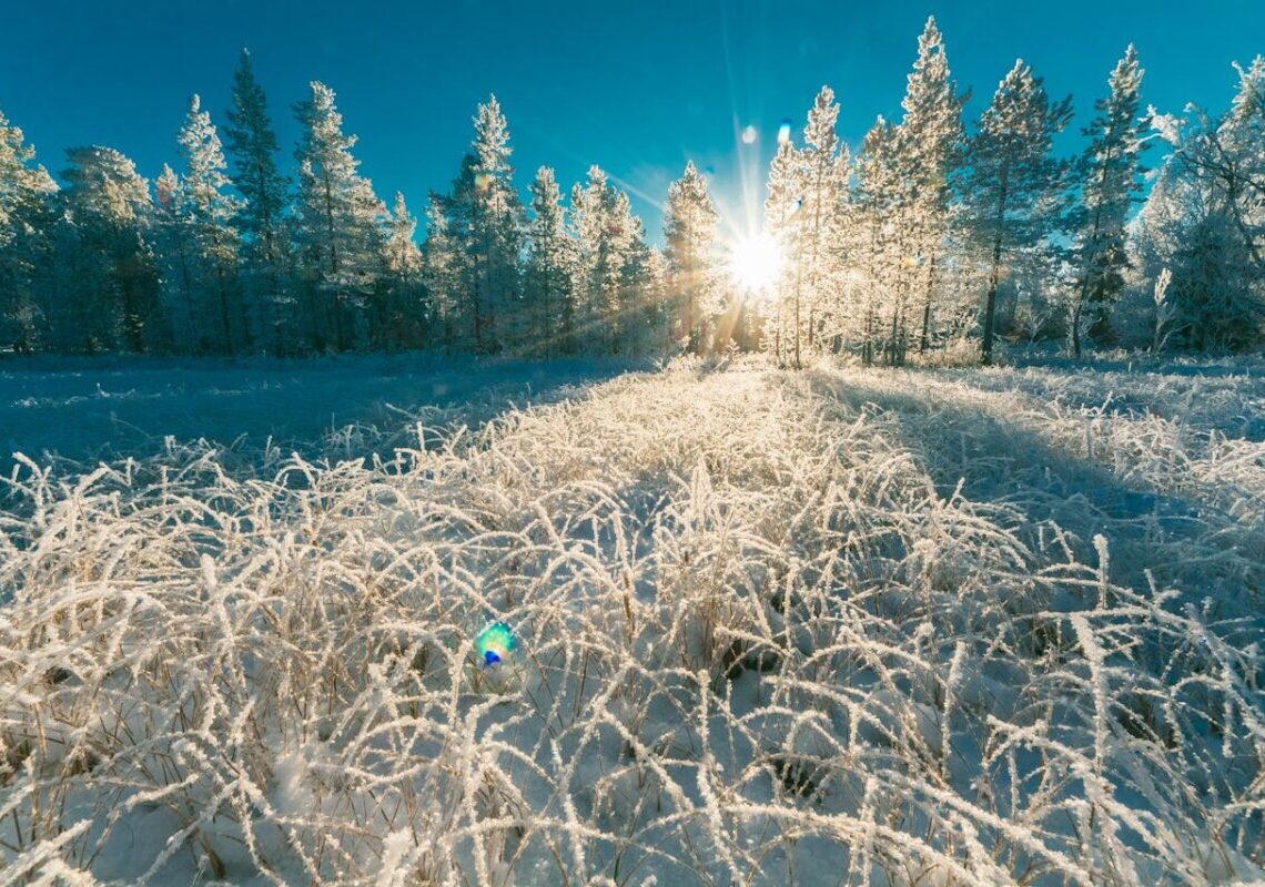 Sud America stretto nella morsa del gelo: almeno 15 morti tra Argentina, Cile e Uruguay
