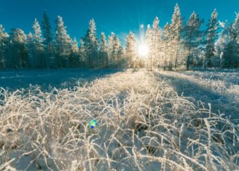 Sud America stretto nella morsa del gelo: almeno 15 morti tra Argentina, Cile e Uruguay