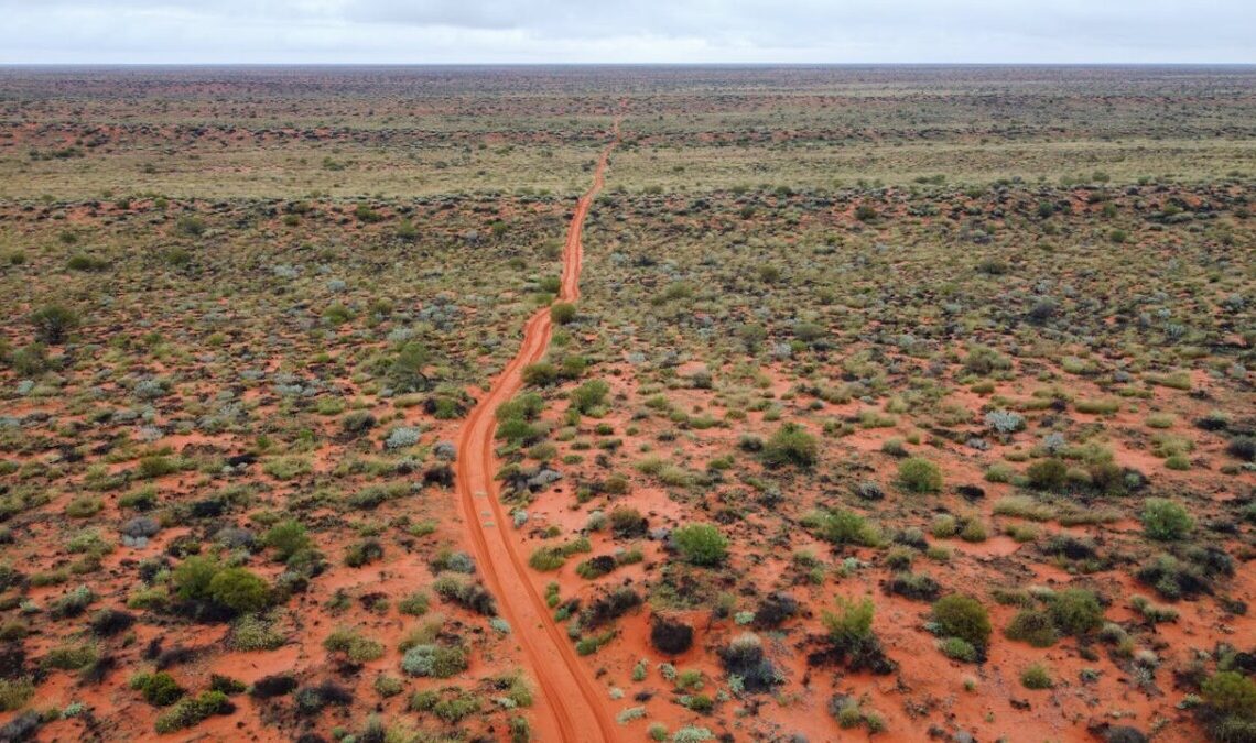 Ritrovata viva dopo 12 giorni nel bush australiano: il coraggio di Carolina Wilga