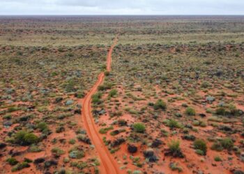 Ritrovata viva dopo 12 giorni nel bush australiano: il coraggio di Carolina Wilga