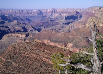 Distrutto un simbolo americano: l’incendio che ha cancellato il Grand Canyon Lodge
