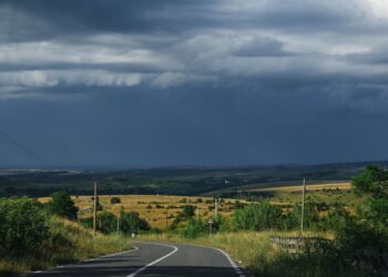 Trovata morta tra le sterpaglie a Roma: il cadavere era di Emanuela Ruggeri, scomparsa da giorni