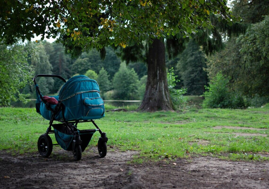 Cade con la carrozzina nel fiume: il dramma del neonato che ha sconvolto Torino