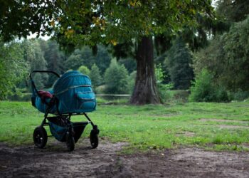 Cade con la carrozzina nel fiume: il dramma del neonato che ha sconvolto Torino