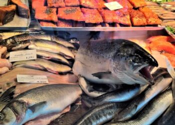 Attenzione a questi pesci: contengono livelli altissimi di mercurio