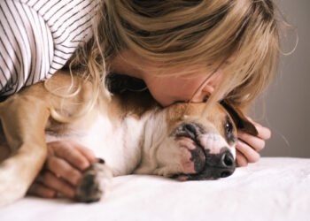 Baci e coccole: sei sicuro che al tuo cane piacciano davvero?