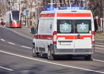 Segue l’ambulanza per chilometri: cane fedele raggiunge il pronto soccorso per restare accanto al padrone