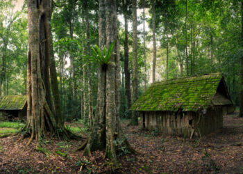 Senza vaccini né scuola, dormivano a terra: il giallo dei bambini trovati in un bosco