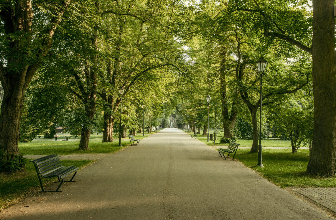 Orrore nel parco pubblico: fermato mentre tenta di cucinare un gatto