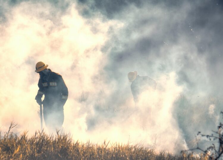Tragedia nei cieli: emergono i numeri dello schianto