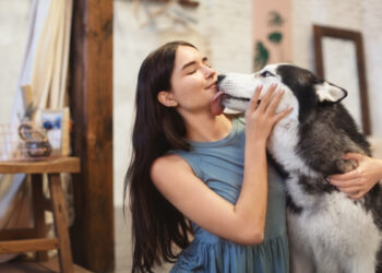Quando il cane ti lecca non ti sta solo dando affetto: il vero significato del gesto che sorprende tutti