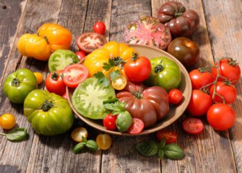Perché sempre più persone tengono i pomodori fuori dal frigorifero
